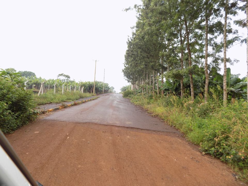 plot for sale in Thika – Westwood Gardens Estate neighbourhood